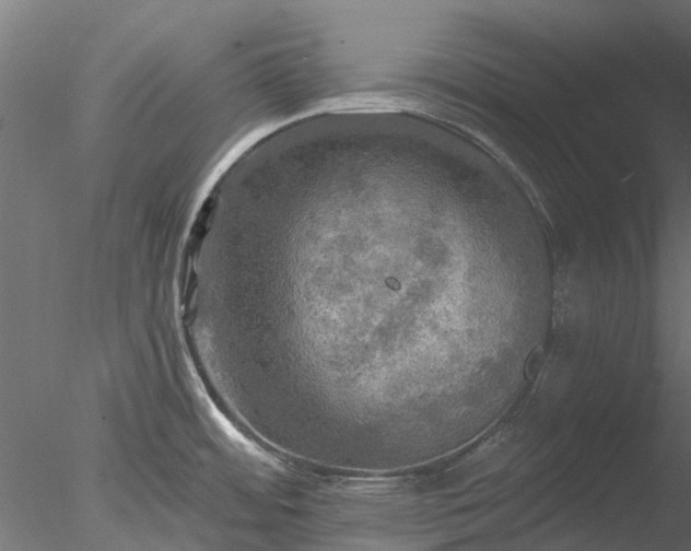 X0000078011484200611031417