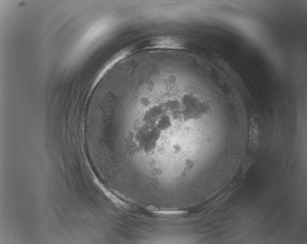 X0000078011487200611031417