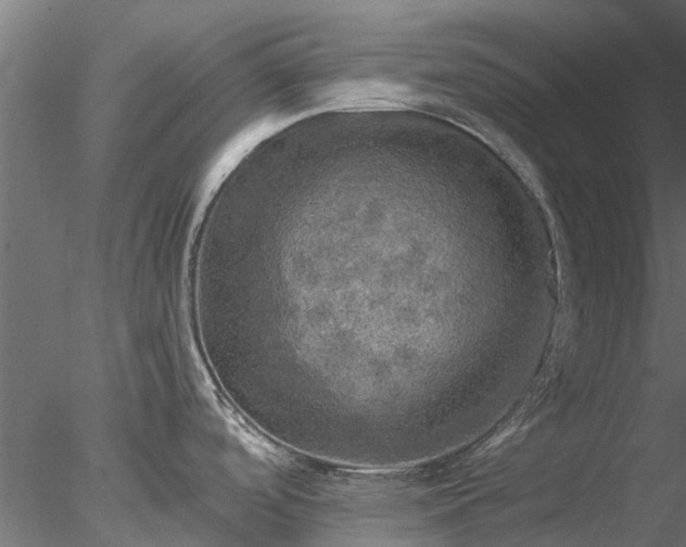 X0000078011488200611031417