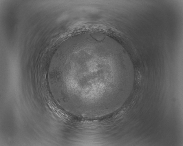 X0000078011489200611031416