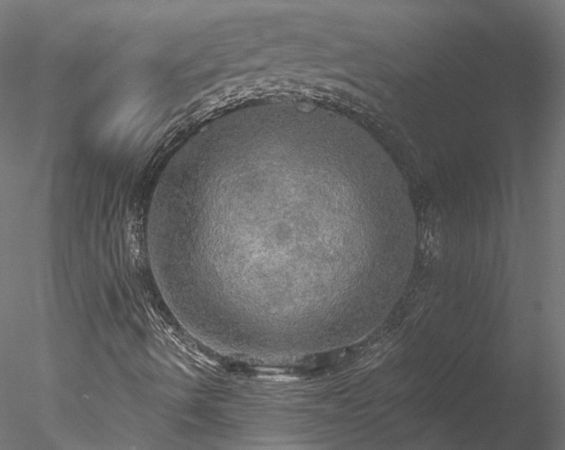 X0000078011490200611031416