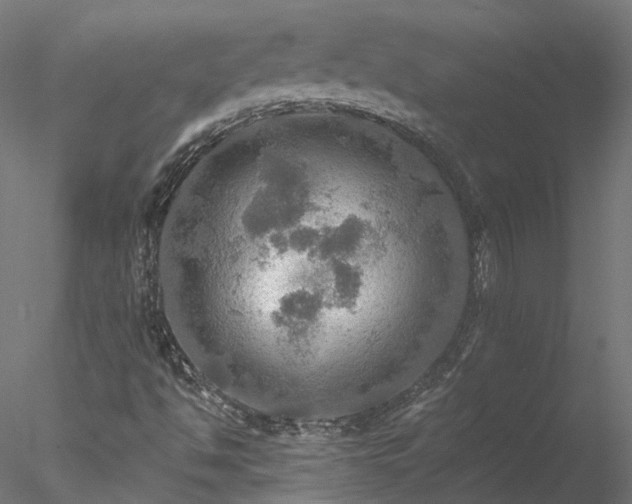 X0000078011494200611031416