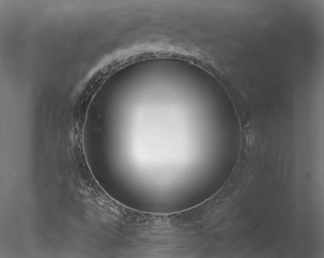 X0000078011495200611031416