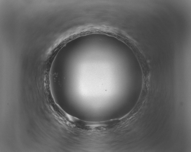 X0000078011496200611031416