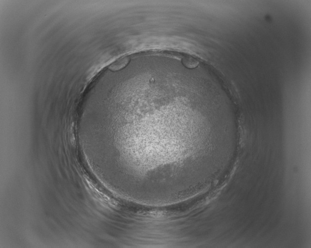 X0000078011497200611031416