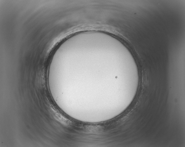 X0000078011498200611031416