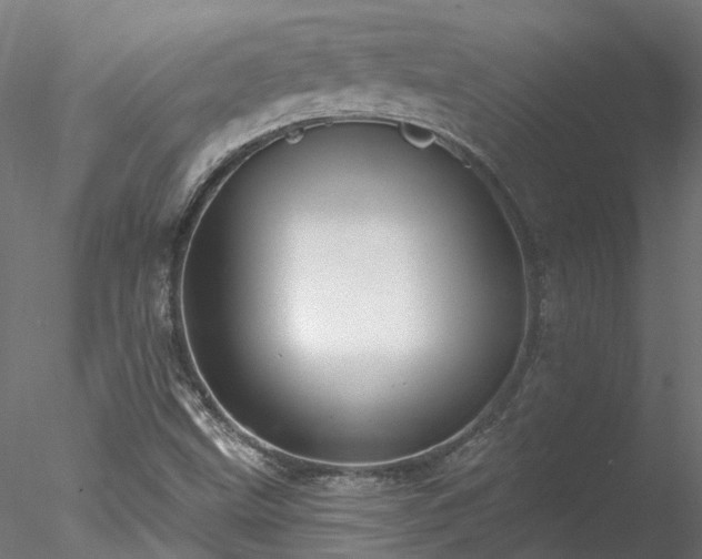 X0000078011499200611031416