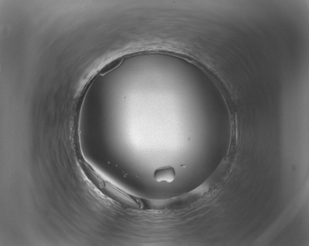 X0000078011500200611031416