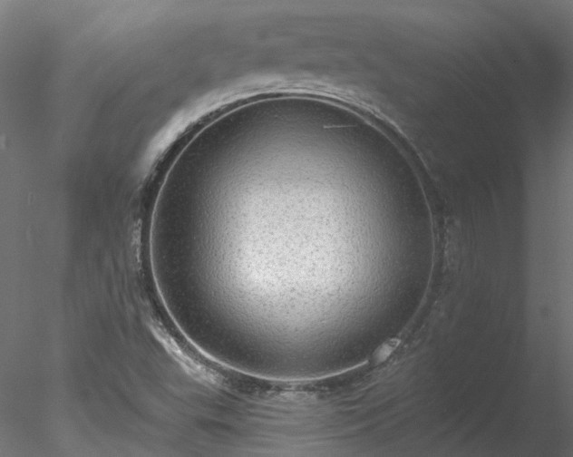 X0000078011503200611031417