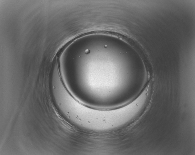 X0000078011505200611031417