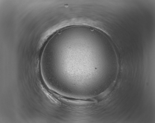 X0000078011507200611031417