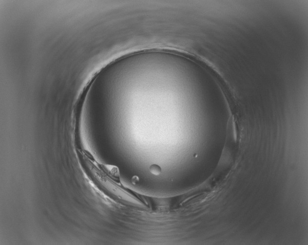 X0000078011508200611031417