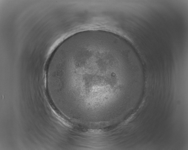 X0000078011509200611031417