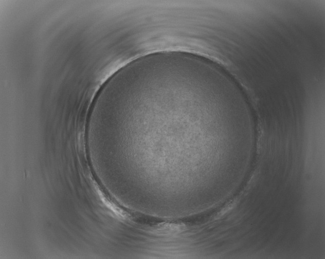 X0000078011513200611031417