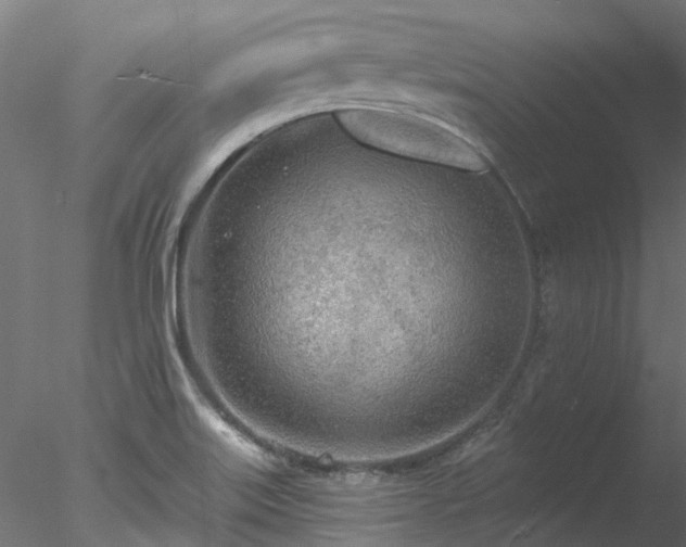 X0000078011515200611031417