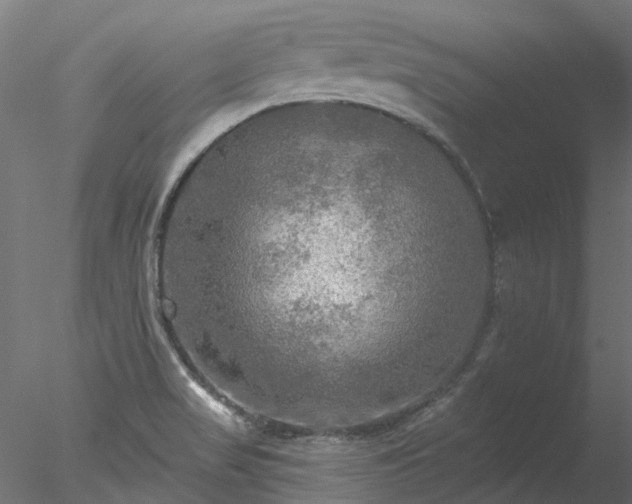 X0000078011517200611031417