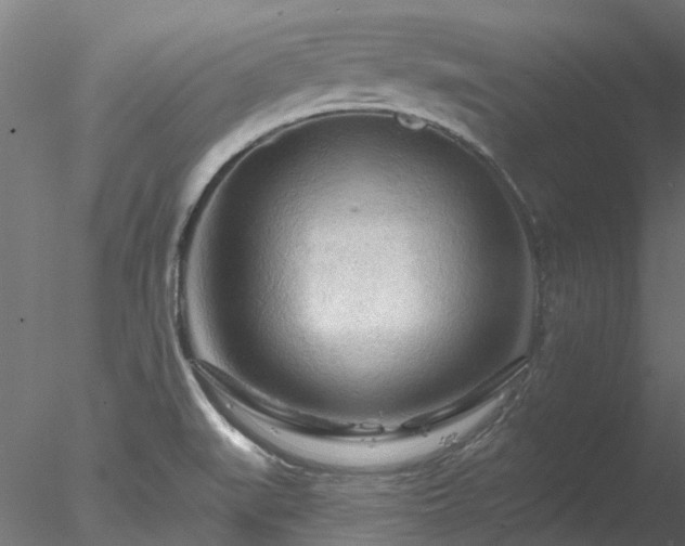 X0000078011519200611031417