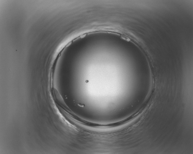 X0000078011520200611031417