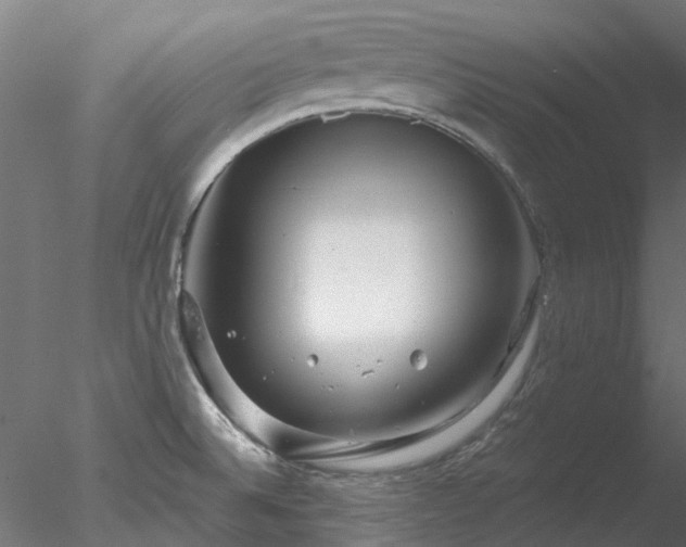 X0000078011524200611031417