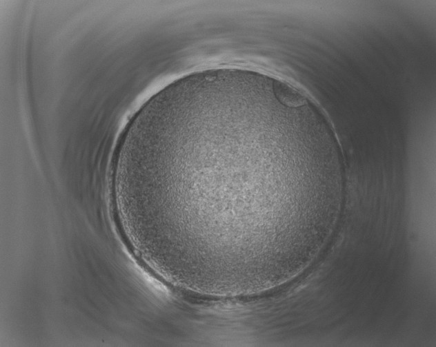 X0000078011525200611031417