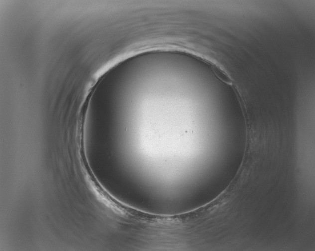 X0000078011526200611031417