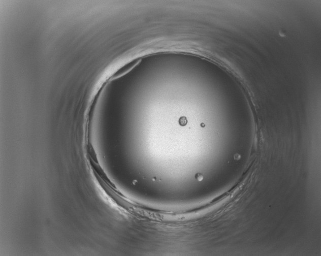 X0000078011528200611031417