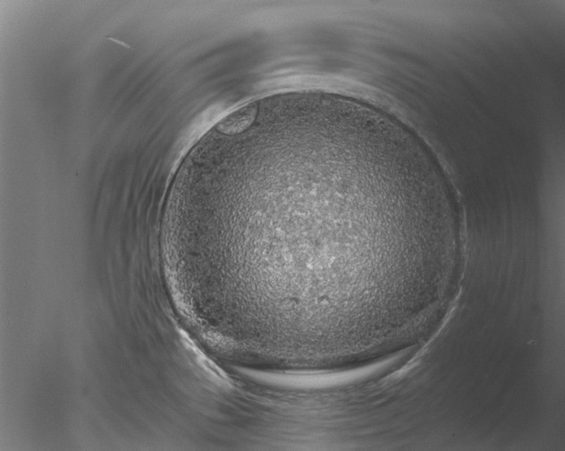 X0000078011529200611031417