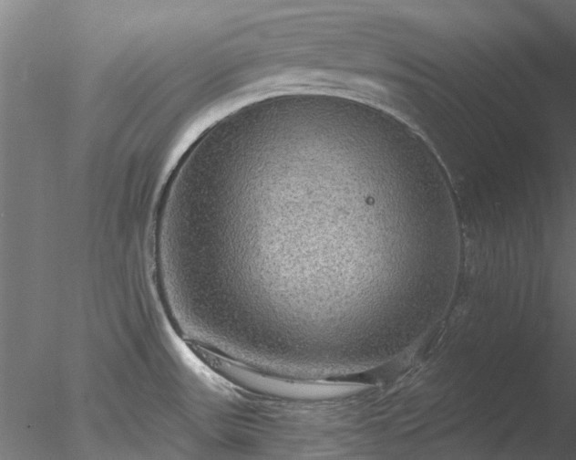 X0000078011531200611031417