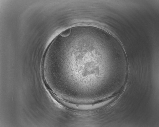 X0000078011533200611031417