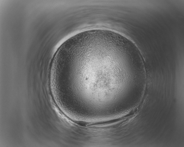 X0000078011534200611031417