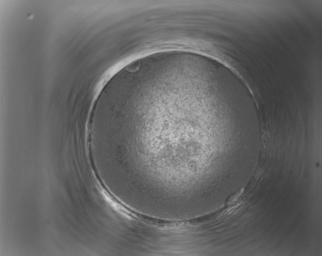 X0000078011535200611031417