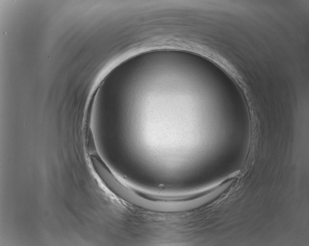 X0000078011536200611031417