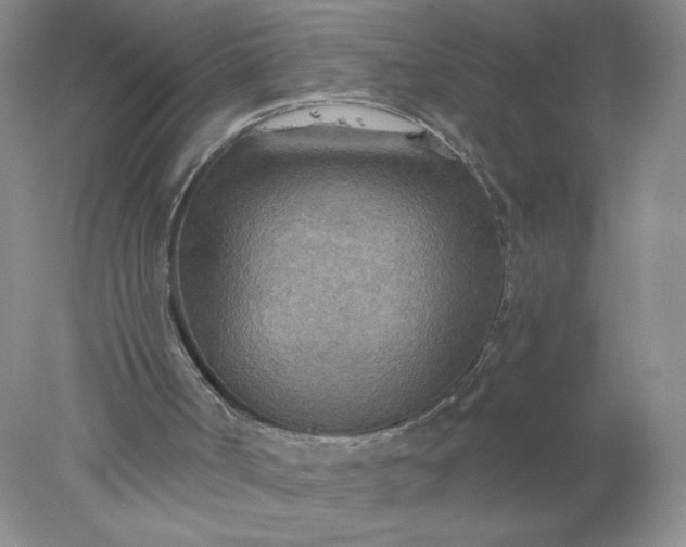 X0000078010002200611101833