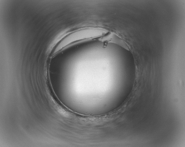 X0000078010005200611101833