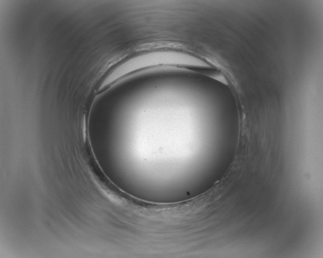 X0000078010013200611101833