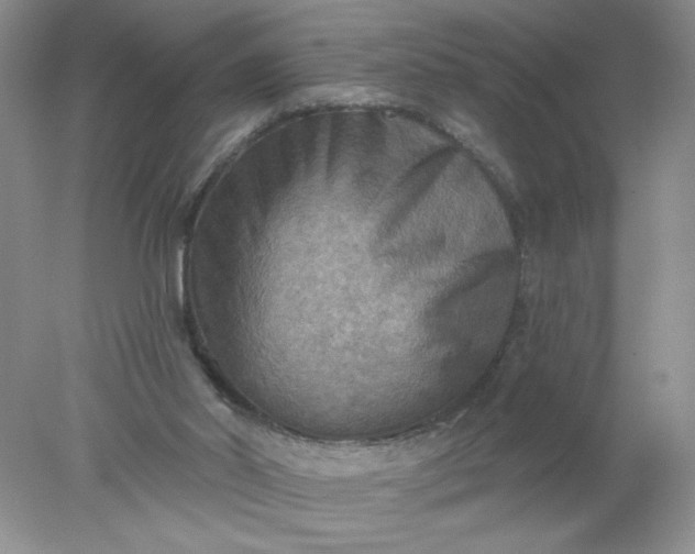 X0000078010014200611101833