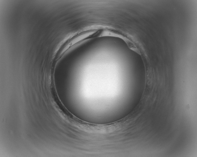 X0000078010015200611101833