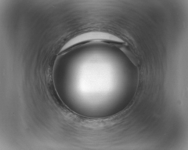 X0000078010029200611101832