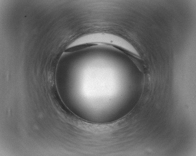 X0000078010031200611101832