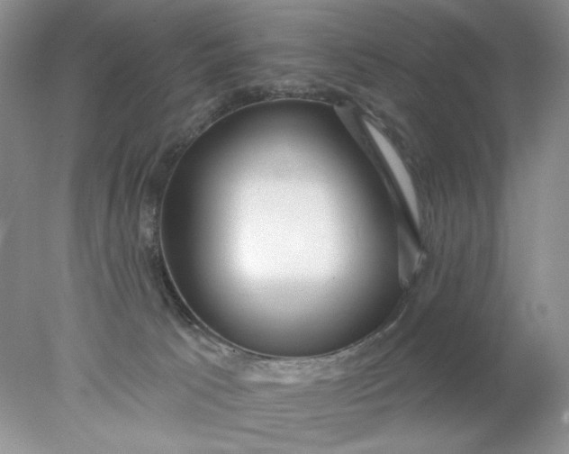 X0000078010033200611101832