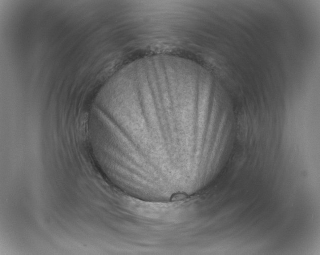 X0000078010034200611101832