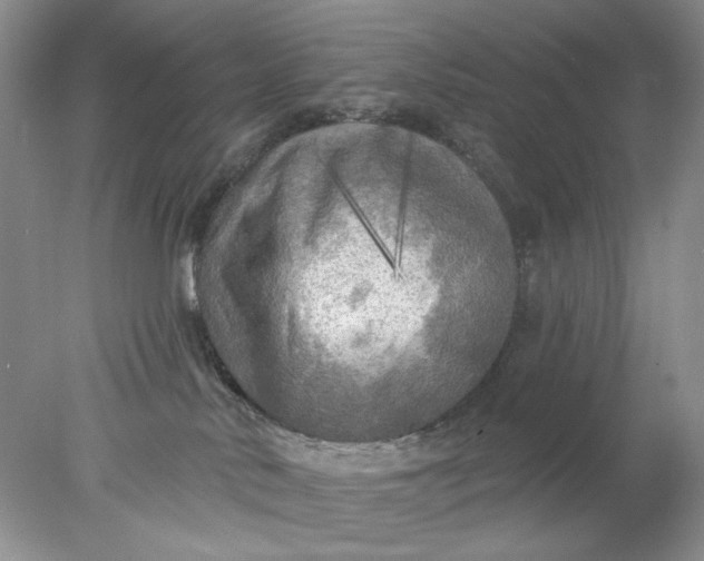 X0000078010042200611101832