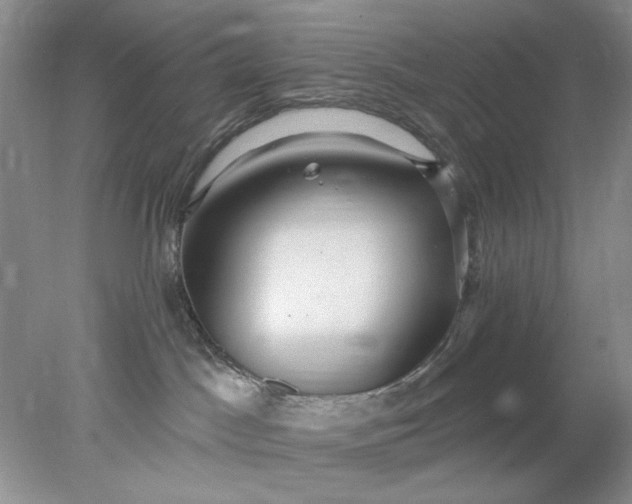 X0000078010045200611101832