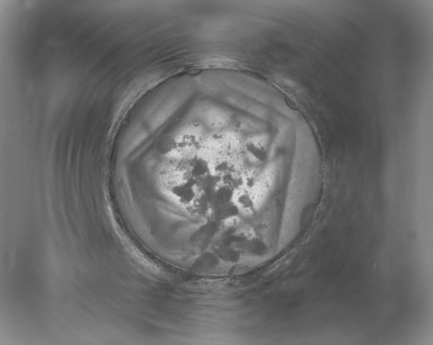 X0000078010049200611101831