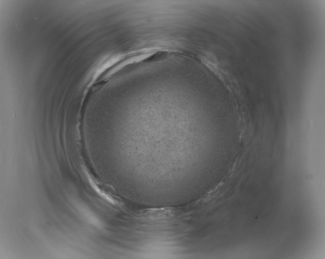 X0000078010050200611101831