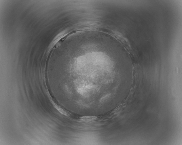 X0000078010051200611101831
