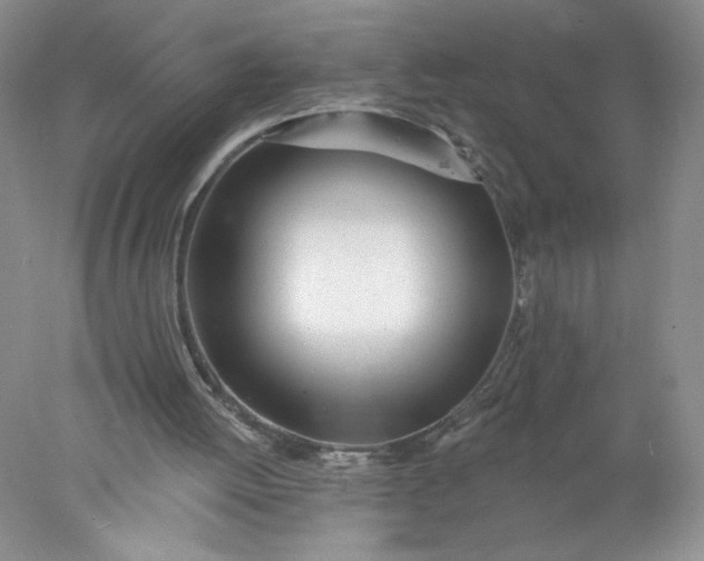 X0000078010052200611101831