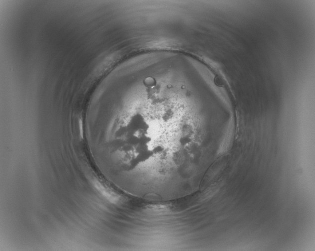 X0000078010061200611101831