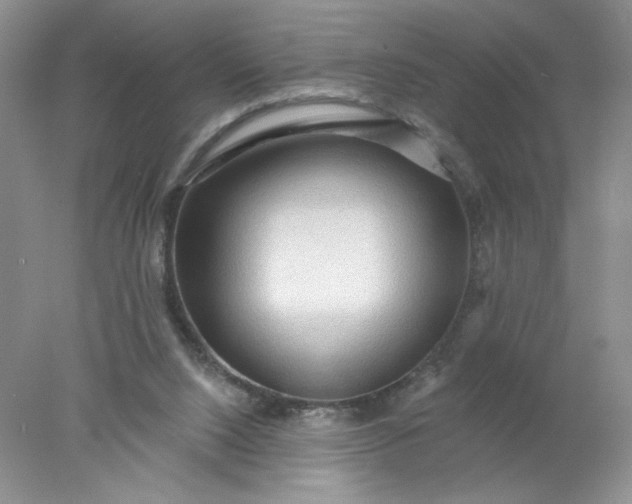 X0000078010064200611101831