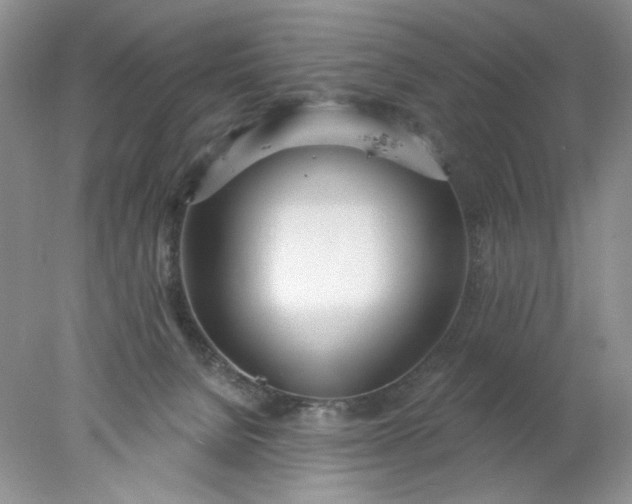 X0000078010080200611101832